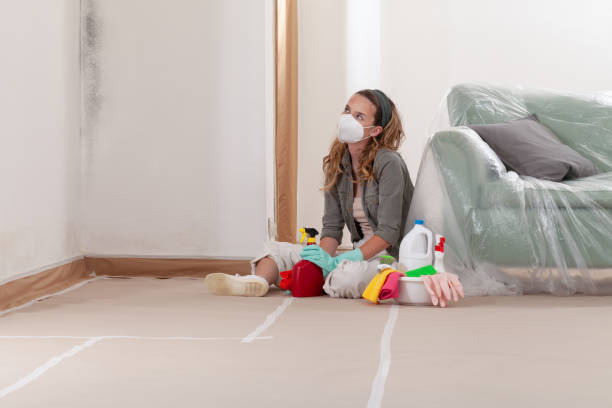 Reliable Mold Remediation contractor in Prior Lake, MN by WQB Mold Removal